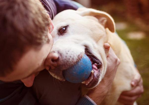 5 cosas que dice tu perro de ti