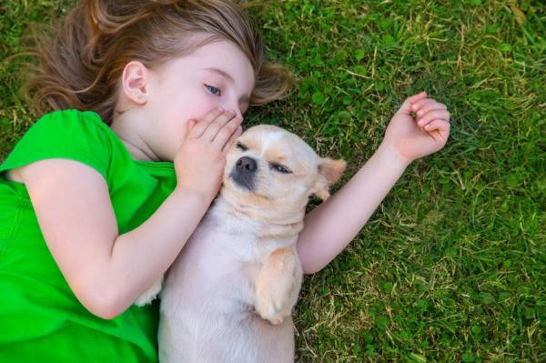 ¿Cuántas palabras entienden los perros?