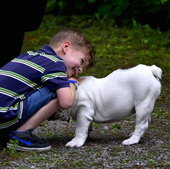 Beneficios de tener un perro para los niños