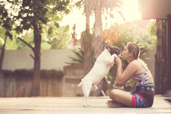 ¿Cómo demuestran los perros su cariño?