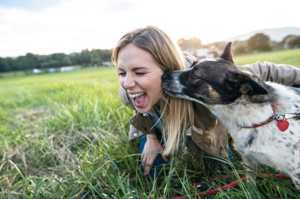 ¿Por qué a mi perro le gusta lamerme las orejas?