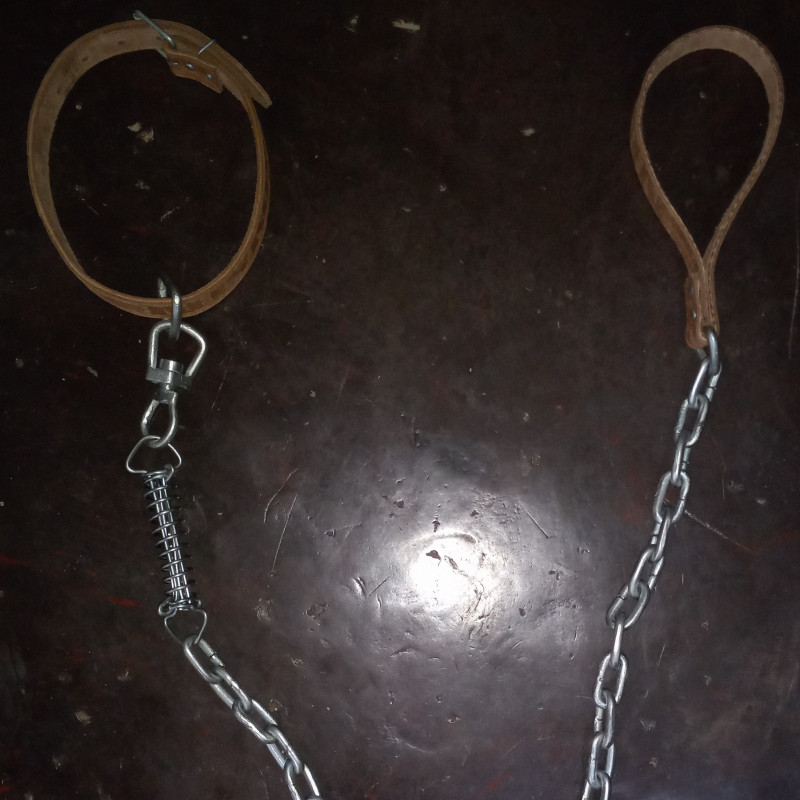 Cadena para perros grandes