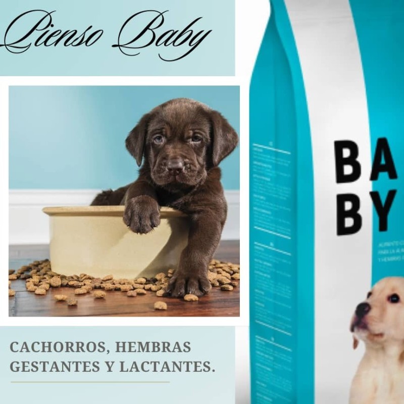 Pienso Baby, cachorros 20 kg