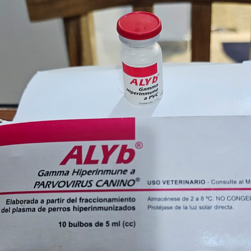 Gamma hiperinmune a Parvovirus